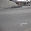 v***v