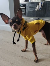 Dog Hoodies Jacket Costume Coat French Bulldog Chihuahua Winter for Pets-Clothing