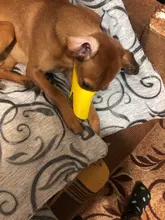 Bozal de silicona para perros, máscara bozal antimordida para perros pequeños y grandes, boquillas para la boca, accesorios de mascota perro