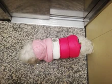 Outfit Jacket Hoodie Dog Warm Waterproof Winter Coat Splice Pet-Puppy 6-Colours 8-Sizes