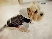 Coat Pet-Dog-Jacket Winter Puppy Hood-Size Warm with 8-18 5-Colors Thickening