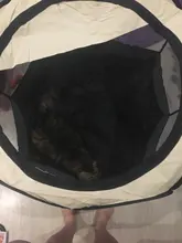 Perros-House Bed-Tent Playpen Puppy Dog-Cage Pet-Dog Cats Dogs Foldable Small 