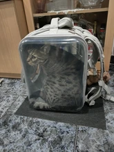 Mochila de hombro transpirable para gato o mascota, bolsa porta animales para viaje al aire libre con perros pequeños o gatitos, ideal para embalaje portátil de suministros