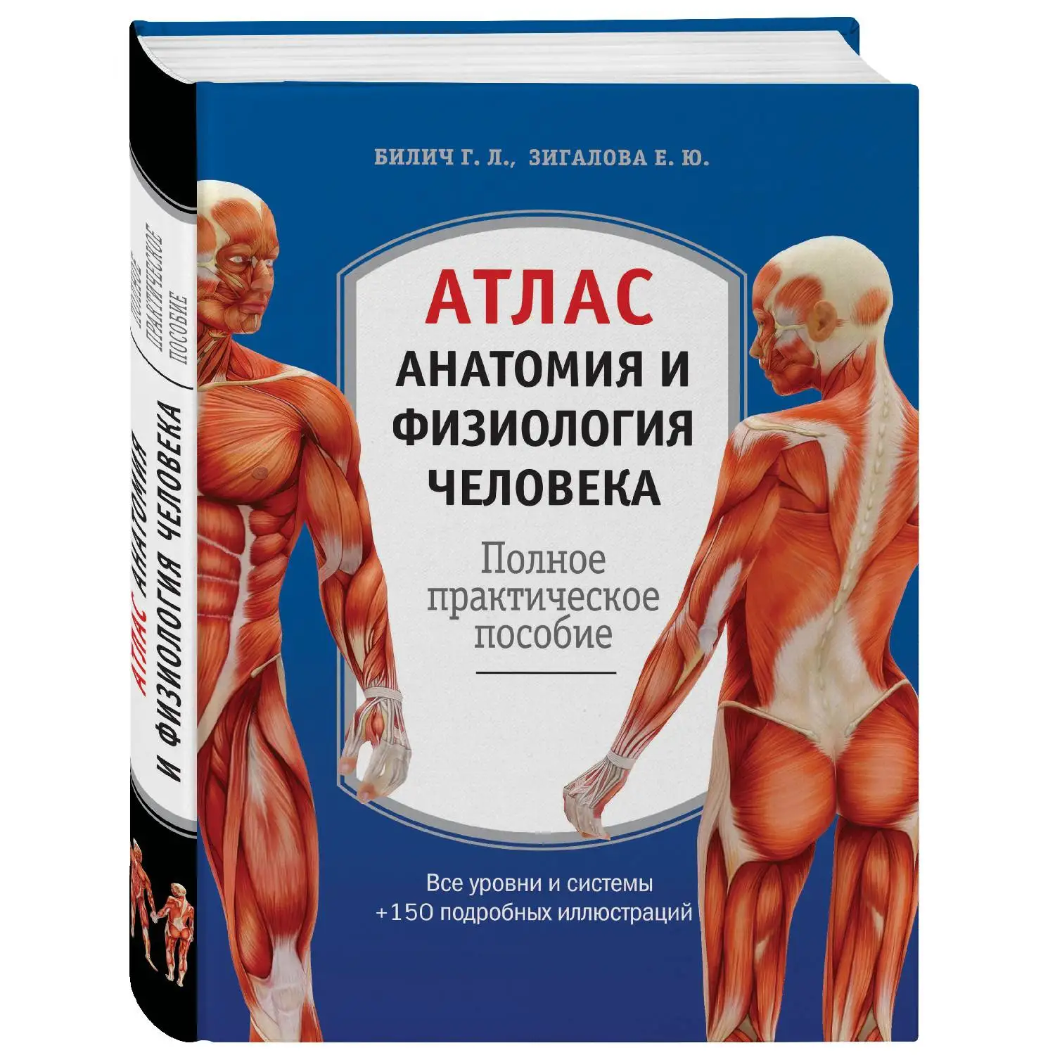 Анатомия Человека Г Л Битич Купить