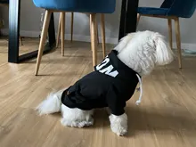 Dog Hoodies Jacket Costume Coat French Bulldog Chihuahua Winter for Pets-Clothing