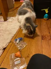 3 unids/lote de falsa ratón Gato mordida de peluche juguetes de peluche de la bola del arco iris juguete Cayts Mini divertido juguetes para gatos gatito