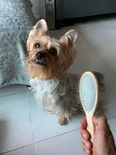 Steel-Pin-Brush Pet-Grooming-Tools Dogs Long-Hair Large Oval Professional Wood for Short