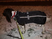 Jackets Dog-Coats Outdoor Winter Pet-Dog Dogs Large Medium for Warm Clothing Kurtka Ubranka