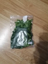 Simulation Green Hanging Leaves for Aquarium Fish Tank Reptile Feeder Box Decor