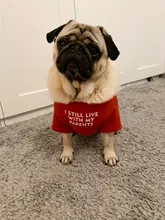 Letras de moda impreso Bulldog francés Camisa de algodón elástico ropa de perro mascota para Yorkshire Chihuahua verano bombero esposa camiseta bombero novia fuego emblema bombero Don bombero Cruz de traje