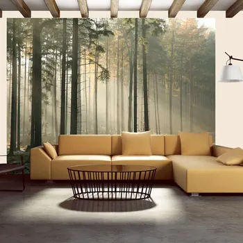 

Wall mural-November Foggy morning - 300x231 cm