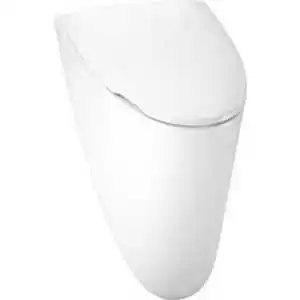

Urinal Jacob Delafon Presqu'ile 30x50x29 with lid e6330 (e1161-00)