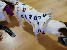 Clothing Bulldog-Clothes Corgi Raincoat Poodle Pug Bichon French Waterproof for Schnauzer