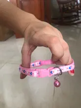 Collar de policarbonato para perros, hebillas ajustables con campana, correa para el cuello, suministros para mascotas, accesorios para perros pequeños, Chihuahua, Bulldogs, 1 unidad