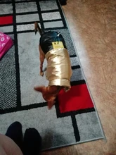 Coat Puppy Clothing Jacket Puppy-French-Bulldog Dogs Waterproof Chihuahua Winter Vest