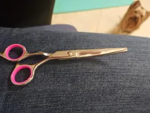 Tijeras de acero inoxidable para peluquería de perros de compañía, 6 pulgadas, curvas, con bordes afilados, para cortar el pelo de animales y gatos, para peluquero