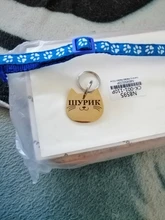 Etiqueta de identificación de Gato de acero inoxidable para mascotas, etiquetas de nombres de mascotas, Collar para gatos, accesorios con teléfono, sexo y etiquetas de nombres, grabado gratis