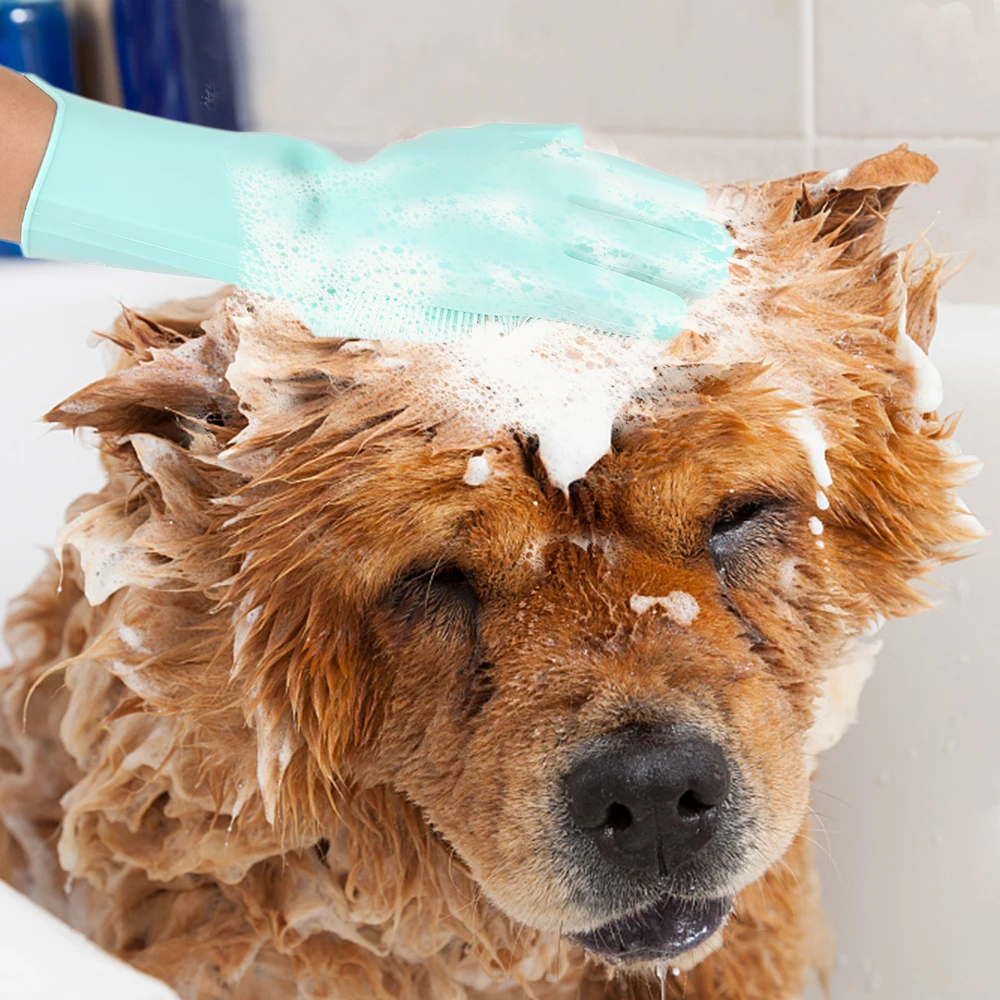 HTB1qJmkKOLaK1RjSZFxq6ymPFXaW