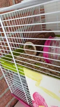 Tube Toy-Tunnel Hamster Wooden Guinea-Pig Rabbit-Ferret for Chew-Toy Exercise Pet-Gyh