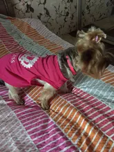 Shirt Outfits Dogs-Costume Dog-Vest Puppy Cotton Cheap Cute for Perro Ropa