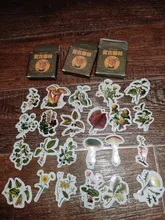 46 unids/caja Retro serie de bosques planta de decoración pegatinas planificador Scrapbooking papelería coreana pegatinas diario