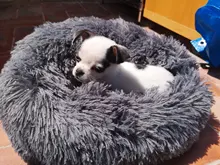 FortyLions-Cama larga de felpa para perros y gatos, cojín largo de felpa super suave y esponjoso para mascotas, cómoda para casa