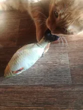 Cheap Pet Products Fish Toy Cat Scratch Board Scratching Post Catnip toys for Cat Pet