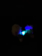 Flashlight Pets-Supplies-Accessories Dog-Collar Night-Safety Glow-In-The-Dark Leads Cat