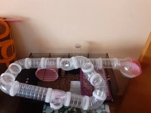 Cage-Box Toilet-Hamster Acrylic-House Sand-Room Bath Mouse-Gerbille Small Pet-Supplies