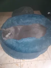 Kennel Calming-Beds Fluffy Dog Plush Dog/cat-House Super-Soft Sofa Pet-Puppy Long 