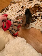 Dress Costume Dog-Puppy-Clothes PET PETCIRCLE Small Dog Classic Check Fit Pet-Cat All-Seasons