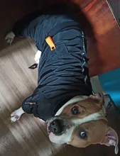 Dog-Coat Winter HOOPET for Dogs Clothing Warm Christmas Big