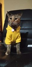 Pajamas Hoodie Cat-Costume Dog-Coat Puppy Cosplay SUPREPET Winter Cute Autumn Cartoon