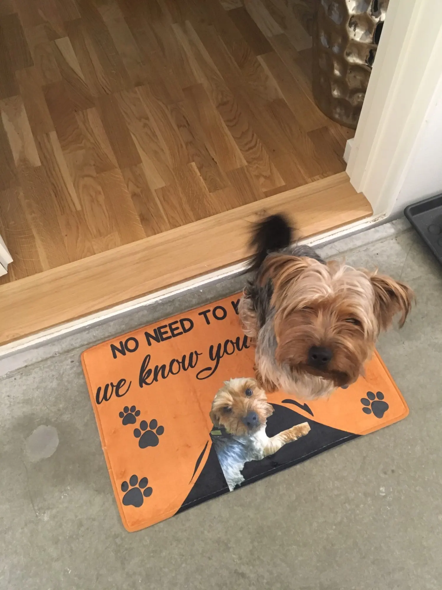 Custom Pet Involved Doormat With Your Pet's Photo photo review