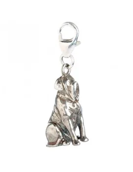 

HARRY POTTER HAGRIDS DOG FANG Silver CHARM Pendant