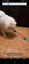 Juguetes de perro ventosa de silicona para perros de compañía Tug interactivo bola juguetes para mascotas masticar morder los dientes cepillo de limpieza de los perros Juguetes