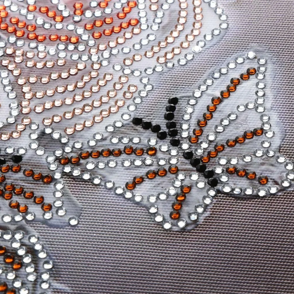 JCH81220685_20181220021710901