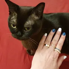 17KM-Conjunto de anillos de cadena de ancho de oro Punk para mujer y niña, sortijas finas irregulares para dedo, regalo, joyería para fiesta 2021