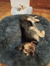 Cama de perro caliente de lana ronda perro perrera casa larga felpa invierno mascotas camas para perros medianos grandes perros gatos cojín del sofá suave esteras