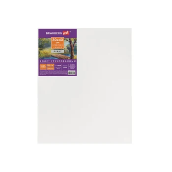 

Canvas on the stretcher brauberg art "debut" 30x40 cm primed