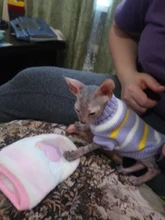 Antumn-ropa de invierno para gatos abrigo de suéter Katten para perros, disfraz de gato para perros pequeños, Chihuahua, Pugs, Bulldog francés