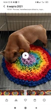 Dog Puzzle Toys Feeder Snuffle-Mat Food-Intelligence-Toy Puppy Slow-Dispensing Training-Games