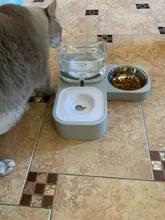 Alimentador automático de mascotas, para perros y gatos, depósito de comida de 2.2L y de agua de 528ml, suministro lento de comida