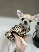 Ropa de invierno para mascotas, atuendo con chaleco cálido para perros pequeños, abrigo para perro, Chihuahua acolchado, a prueba de viento, 20