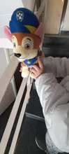 Figuras de acción de la patrulla canina para niños, juguete de peluche suave de 12 y 20cm con seguimiento de perros, modelo Apolo