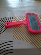 Suministros de baño para conejos, peine para mascotas, peine de cerdo holandés, conejos, cepillo de limpieza en seco, envío directo