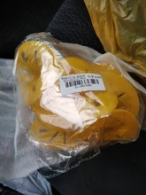 10 unids/lote Jardín de la casa de trampa de avispones Catcher avispa insectos embudo asesino reutilizable botella de plástico botella de avispa trampas