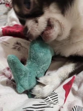 Toys-Supplies Interactive-Toy Dogs Agility Plush Playing Traning Animal Funny Mint Kitten-Teaser