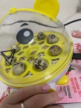 9-Eggs-Incubator Brooder Quail Chicken-Duck Manual Birds Mini Cute