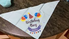 Banner-Accessories Collar Pet-Party-Supplies Birthday-Party-Decor Dog Cat Scarf Hat 